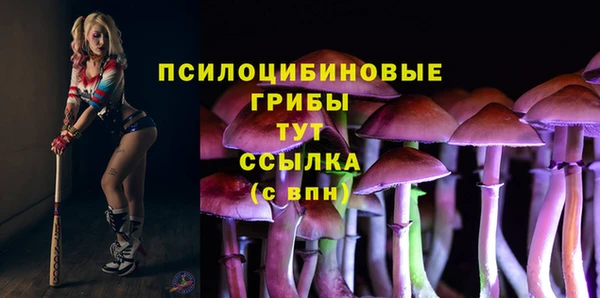 таблы Арсеньев