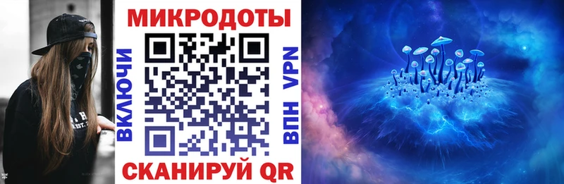 Псилоцибиновые грибы Cubensis  Моздок 